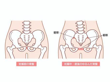 産後の骨盤