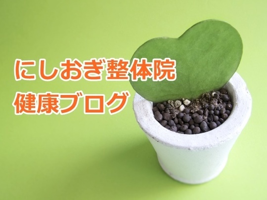 にしおぎ整体院整体ブログのお知らせ