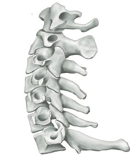 ストレートネックブログ
