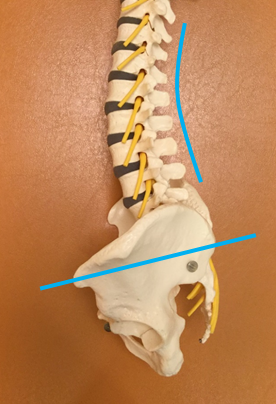 マタニティ整体　骨盤1