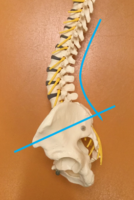 マタニティ整体　骨盤2